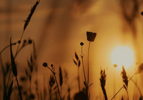 Fim de semana vai ter sol? Aplicativos grátis de previsão do tempo